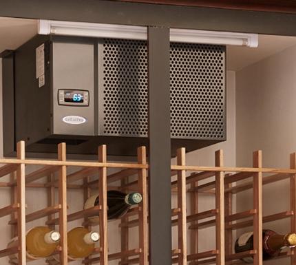 Wine Cellar 101
